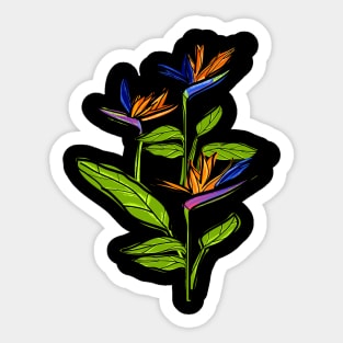 Bird of Paradise Sticker